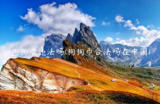 狗狗币违法吗(狗狗币合法吗在中国)