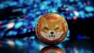 2022年shib币还会涨吗 屎币今年能涨到多少钱